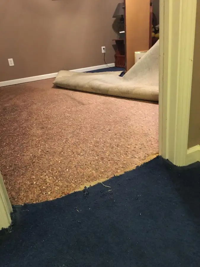 Carpet pad removal revealing water damage during Water Mitigation Services in Morristown