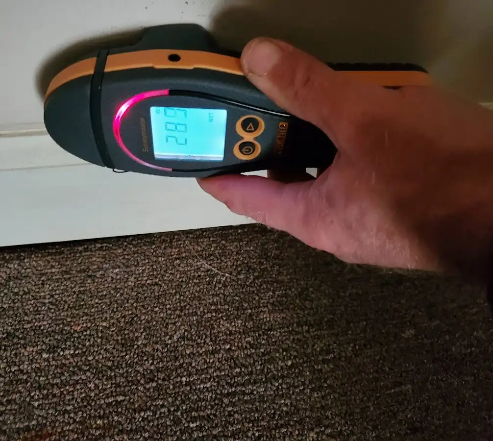 Moisture detection at baseboard during Sewage Cleanup & Sanitation in Morristown
